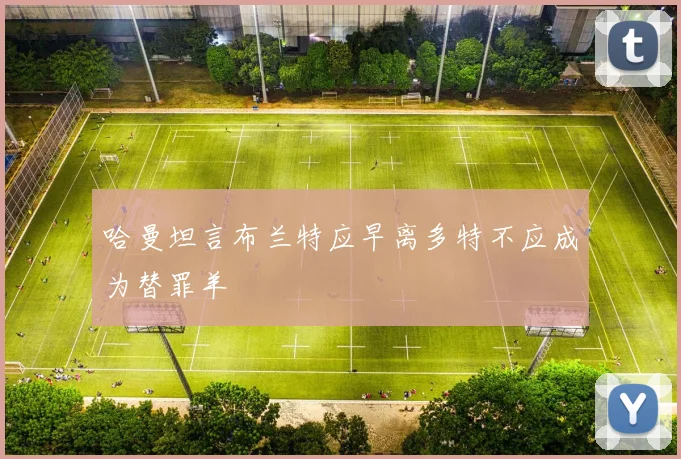 哈曼坦言布兰特应早离多特不应成为替罪羊